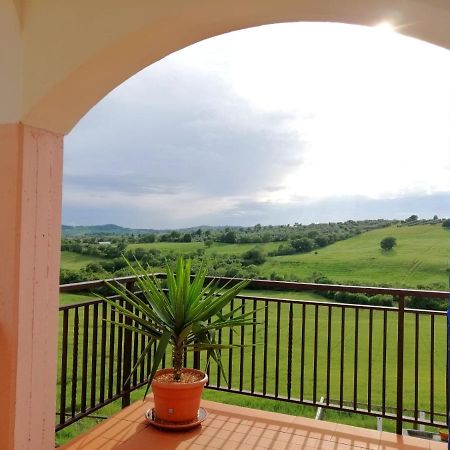 Agriturismo Podere Verdicchio Scansano Exterior foto
