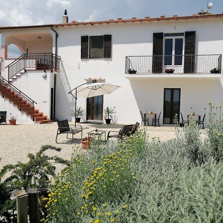 Agriturismo Podere Verdicchio Scansano Exterior foto